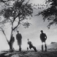 Josef K - Sorry for Laughing