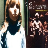 Pig Destroyer - Explosions in Ward 6
