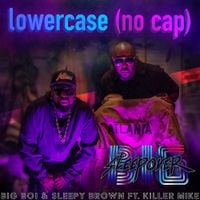 Big Boi & Sleepy Brown - Lower Case (no cap)