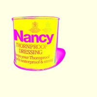 Nancy & The Mysterious Visions - Orange Yellow Orange