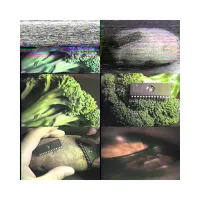 SLUGBUG - OxBAADF00D