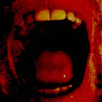 Nick Lyons - Deep in the Gullet