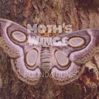 Passion Pit - Moth's Wings