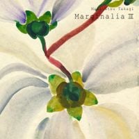 高木正勝 [Masakatsu Takagi] - Marginalia III