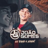 Jo&atilde;o Gomes - Eu Tenho a Senha