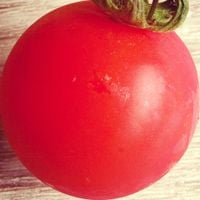 pomodorosa - pomodorosa