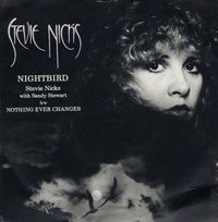 Stevie Nicks - Nightbird