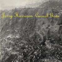 Jerry Harrison - Casual Gods