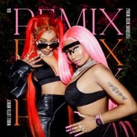 BIA - WHOLE LOTTA MONEY (Remix)