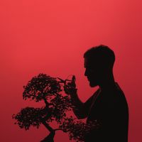 Deen Burbigo - OG SAN, Vol. 1