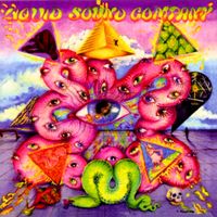 Liquid Sound Company - Exploring the Psychedelic