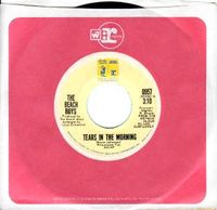 The Beach Boys - Tears in the Morning / It's About Time