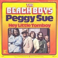 The Beach Boys - Peggy Sue / Hey Little Tomboy