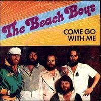 The Beach Boys - Come Go With Me / Don't Go Near the Water
