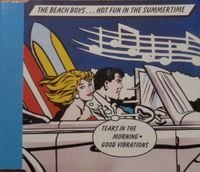 The Beach Boys - Hot Fun in the Summertime / Summer of Love