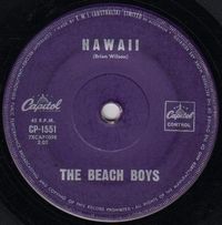 The Beach Boys - Hawaii / The Rocking Surfer
