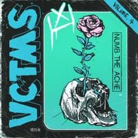 VCTMS - Vol. IV Numb The Ache