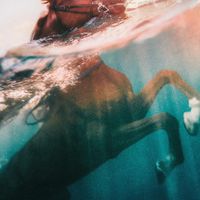 indie tribe - U P P E R H A N D