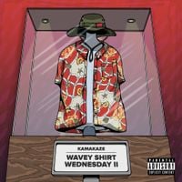Kamakaze - Wavey Shirt Wedneday 2