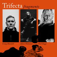 Trifecta - Fragments