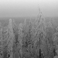 Vintlechkeit - Likene i sn&oslash;en​.​.​.