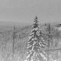 Vintlechkeit - Isete skoger frostskymring&hellip;