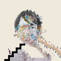Animal Collective - Lying in the Grass