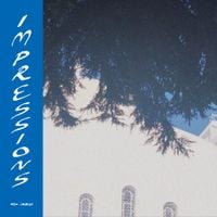 Ducktails - Impressions