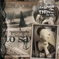 Sopor Aeternus & The Ensemble Of Shadows - A Strange Thing to Say