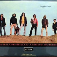 The American Amboy Dukes - Migration
