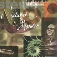 Stevie Wonder - Natural Wonder