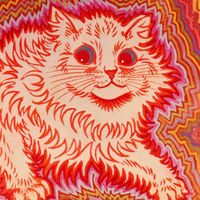 Sun Kidd - Kaleidoscopic Feline Psychosis