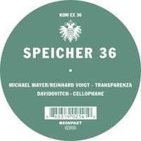 Michael Mayer/Reinhard Voigt & Davidovitch - Speicher 36