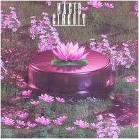 Magic Circuit - Magic Circuit