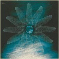 Jani R - Fragile