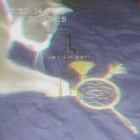 Rowsdower - P.C.P Homeboy (I Am a Black Wizard)
