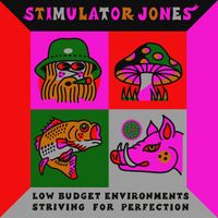 Stimulator Jones - Low Budget Enviroments Striving For Perfection