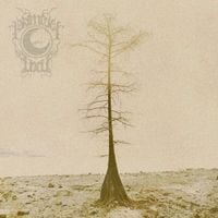 Primeval Well - Primeval Well