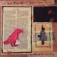 I Hate Myself / Twelve Hour Turn - No Idea Split Recording