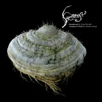 Tom&aacute;&scaron; Dvoř&aacute;k - Samorost 2