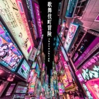 SkyTwoHigh - 歌舞伎町冒険 [Kabukicho Adventure]