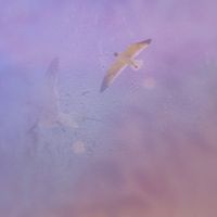 Ffion - Unfurling