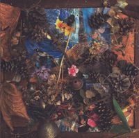 Merzbow - Coma Test