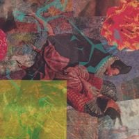Merzbow - Drumorph