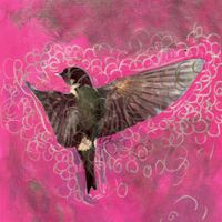 lovesliescrushing - Girl Echo Sun Veils