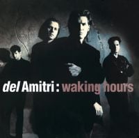Del Amitri - Waking Hours