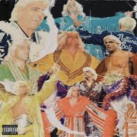 Mickey Diamond - '90 Ric Flair