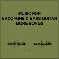Sam Gendel & Sam Wilkes - Music for Saxofone and Bass Guitar More Songs
