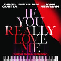 David Guetta, MistaJam & John Newman - If You Really Love Me (How Will I Know)