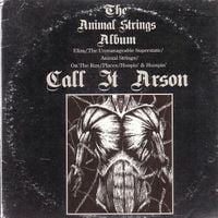 Call It Arson - Animal Strings